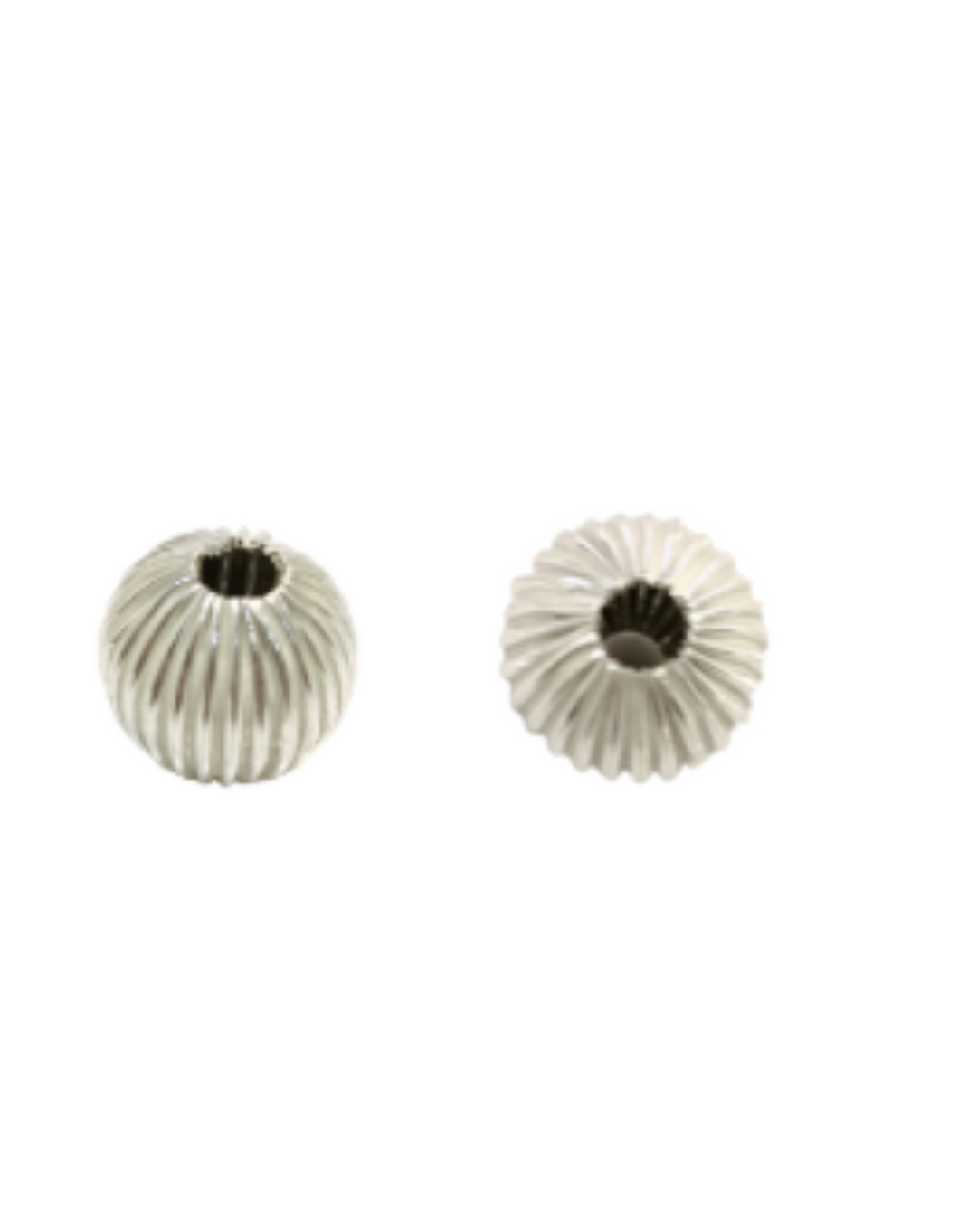 Ahoi Moti Pair