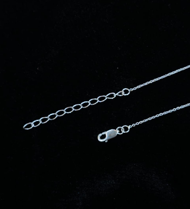 Dual Heart Lariat Chain